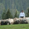 Karpaty