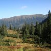 Karpaty