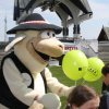 Opening sheep grazing season - traditional pastoral event in Ludzimierz  